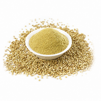 FORUN Coriander Seed Powder – Pure Ground