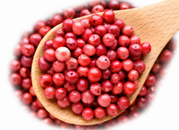 FORUN Pink Peppercorn – Whole
