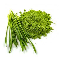 FORUN Organic Pure Barley Grass Powder – Fresh Green on a pure white background
