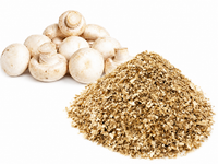 FORUN Freeze Dried White Button Mushroom Granules – Agaricus bisporus