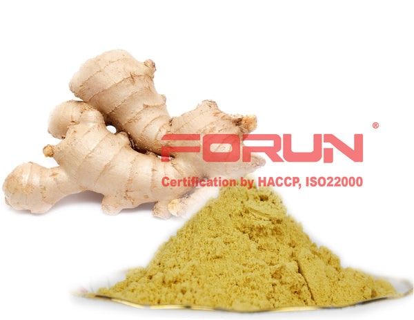Organic Pure Ginger Powder-Strong Flavour