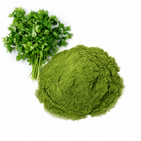FORUN Pure Parsley Powder – Fresh Herbal Flavour
