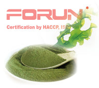 Seaweed Powder