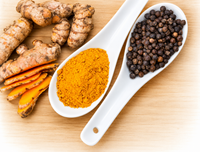 FORUN Turmeric & Black Pepper Spice Blend