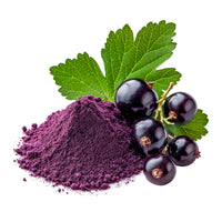 FORUN Blackcurrant Powder – Water Soluble, Deep Purple on a pure white background