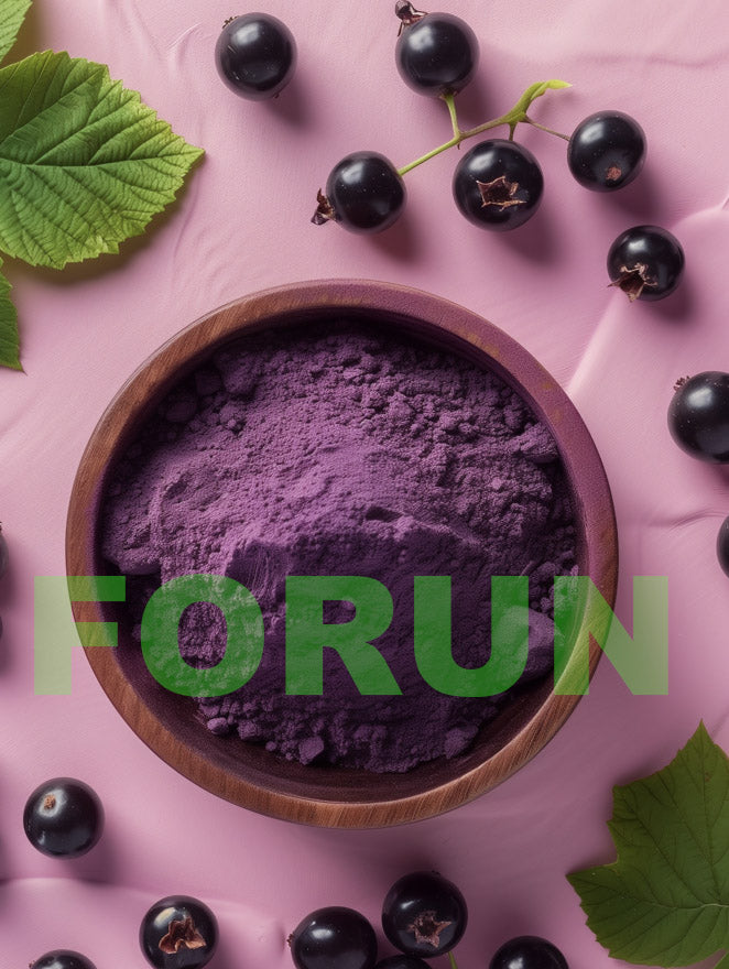 Black currant Powder - Watersoluble