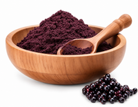 FORUN Elderberry Powder – Water Soluble