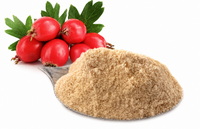 FORUN Freeze Dried Hawthorn Powder – Natural Tart Flavour