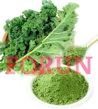 FORUN Premium Kale Powder 1KG-100% Pure,Fresh Green