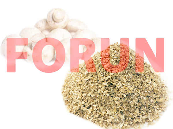 Freeze Dried White Button Mushroom Crushed Granule/Pieces Agaricus bisporus