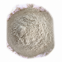 FORUN Freeze Dried White Button Mushroom Powder – Agaricus bisporus