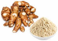 FORUN Sand Ginger Powder (广东沙姜粉) – Kaempferia galanga
