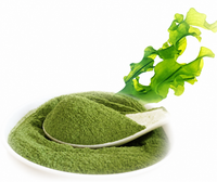 FORUN Pure Seaweed Powder – Fine Ground